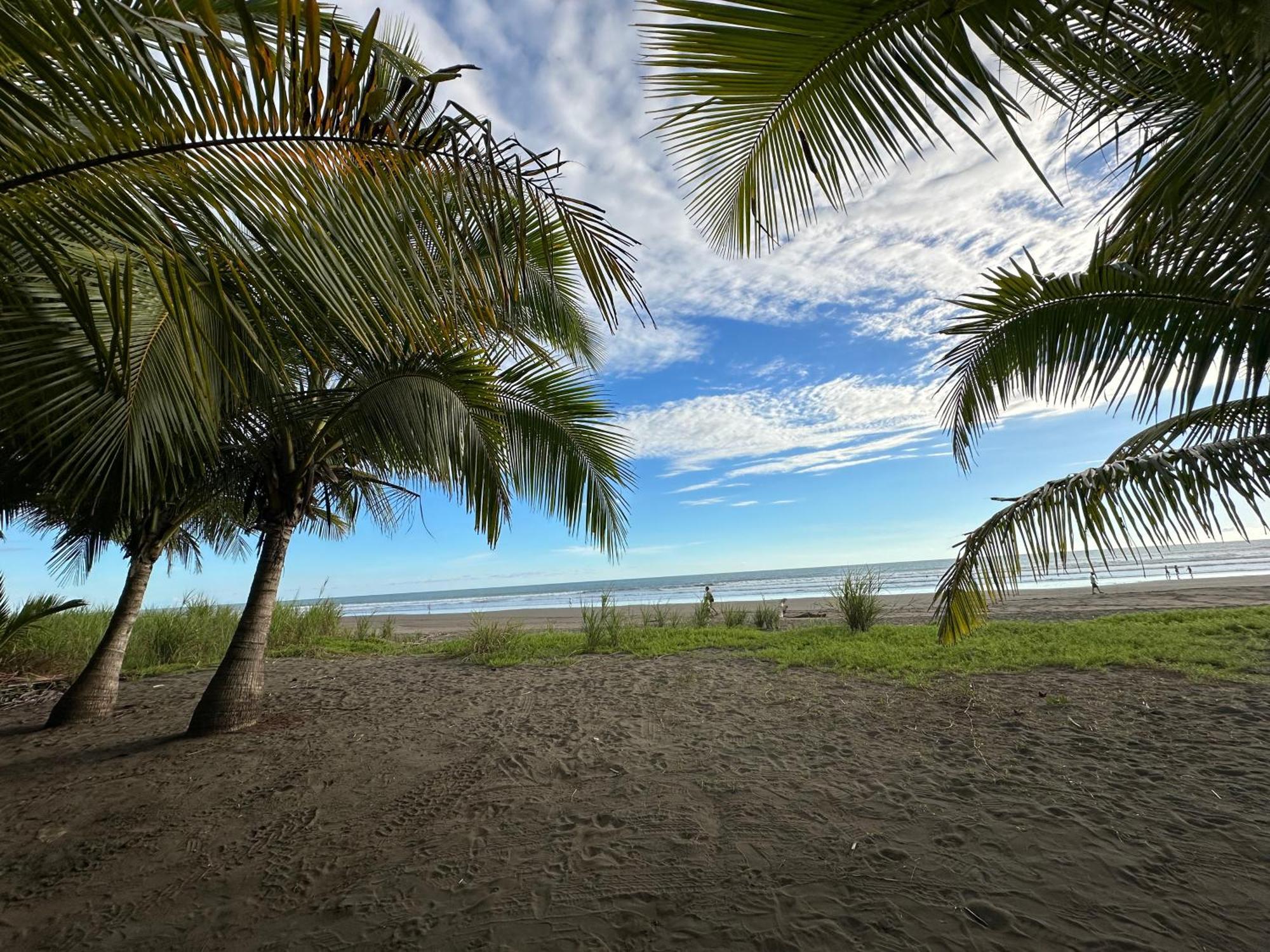 Casa Paraiso Tropical Парита Екстериор снимка