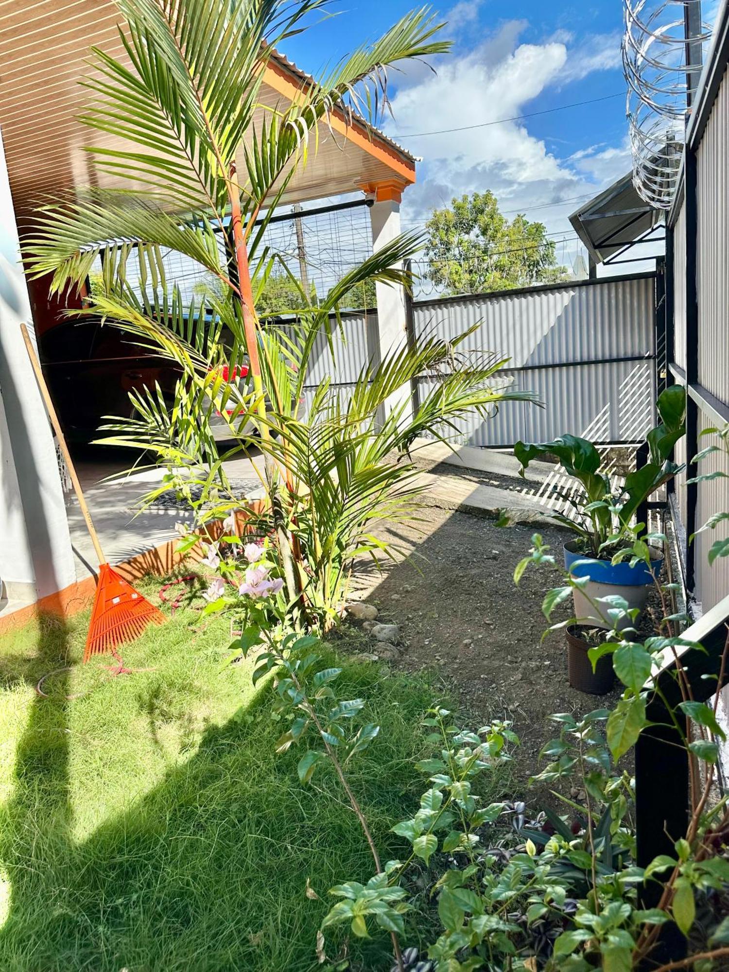 Casa Paraiso Tropical Парита Екстериор снимка